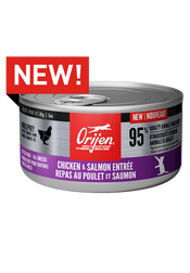 Chicken & Salmon Entrée Wet Food for Kittens